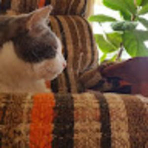 Meet your Posher, Yuki